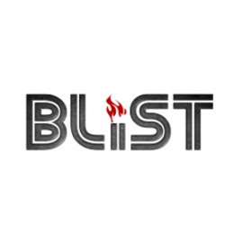 Fireplace stoves and fireplace inserts - BLIST Wood fireplace