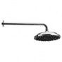 RAV shower head