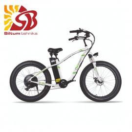ecoFOREST Elektriskais velosipēds Libra